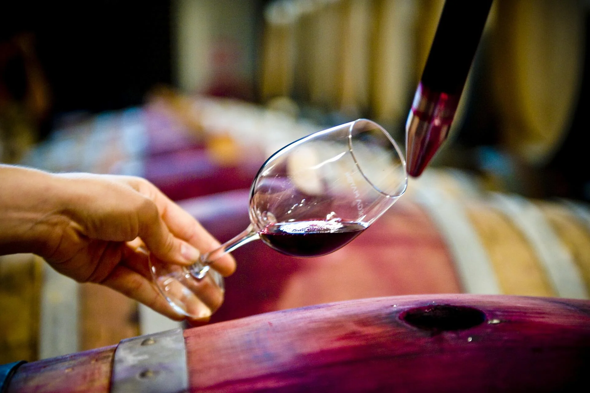 Adega Mayor – Wine Workshop