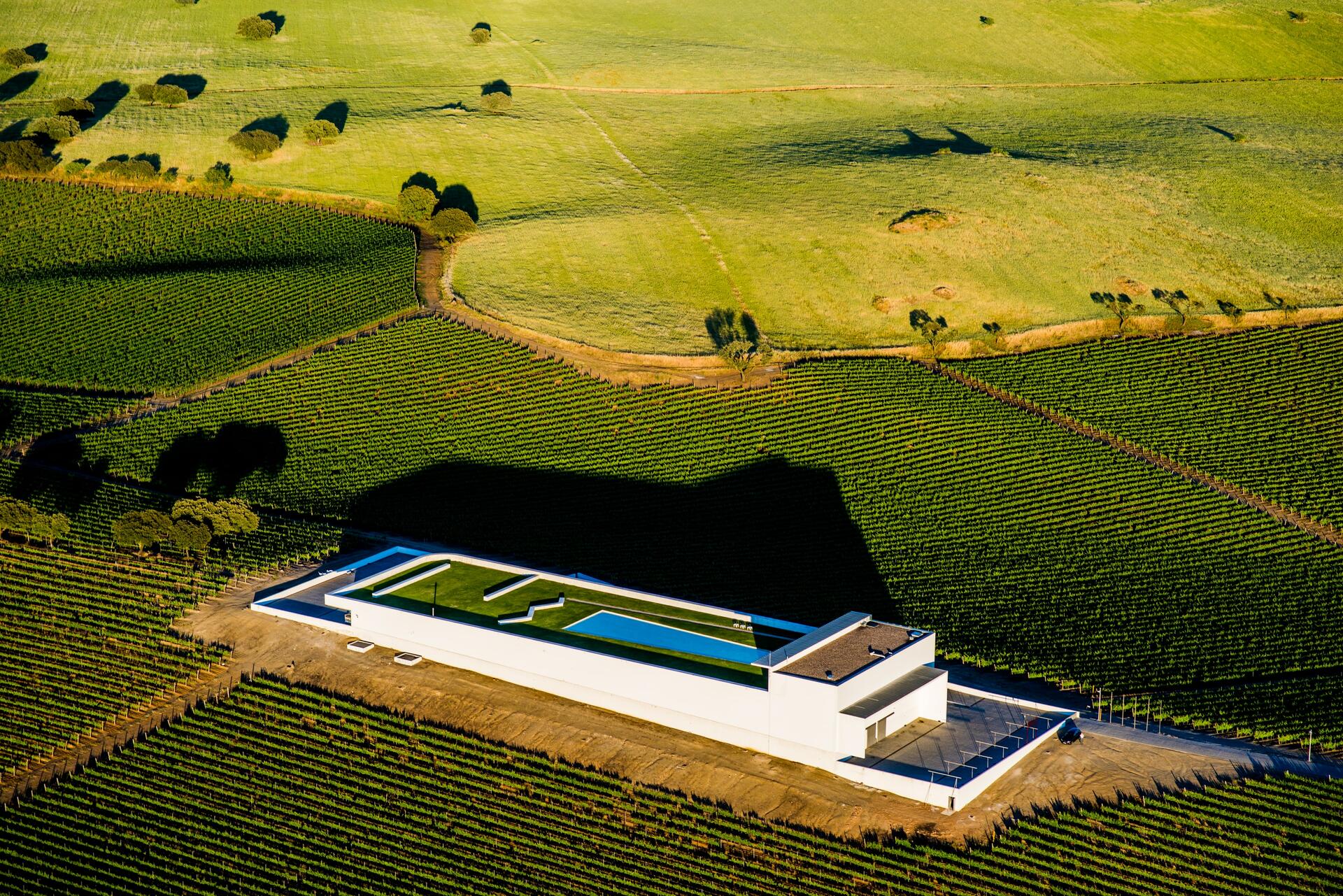 Adega Mayor – Piquenique