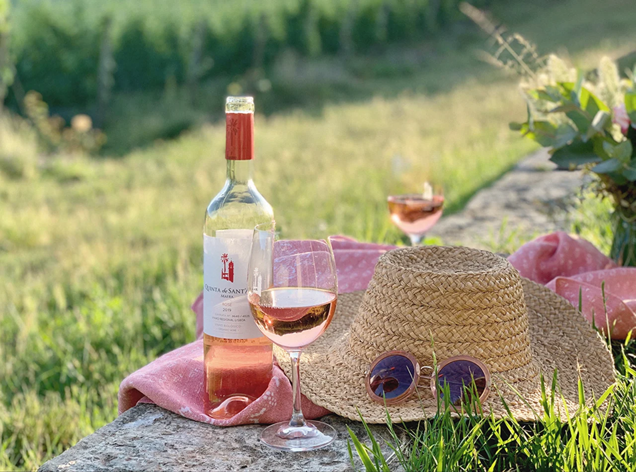 Quinta de Sant’Ana – Piquenique nas Vinhas