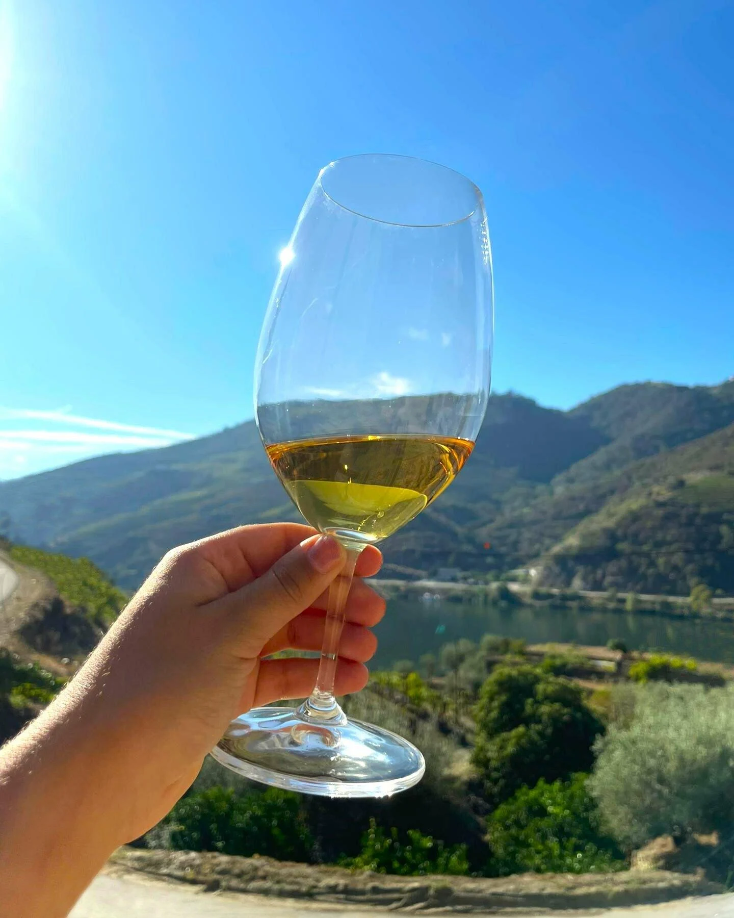 Adega Maçanita – Com ou Sem Madeira?