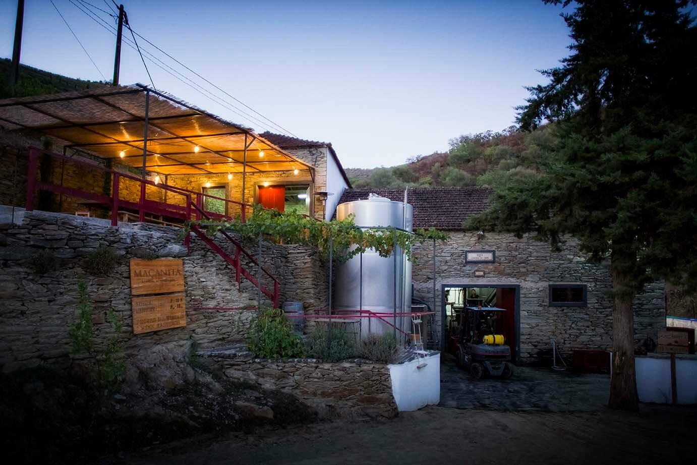 Adega Maçanita – Com ou Sem Madeira?