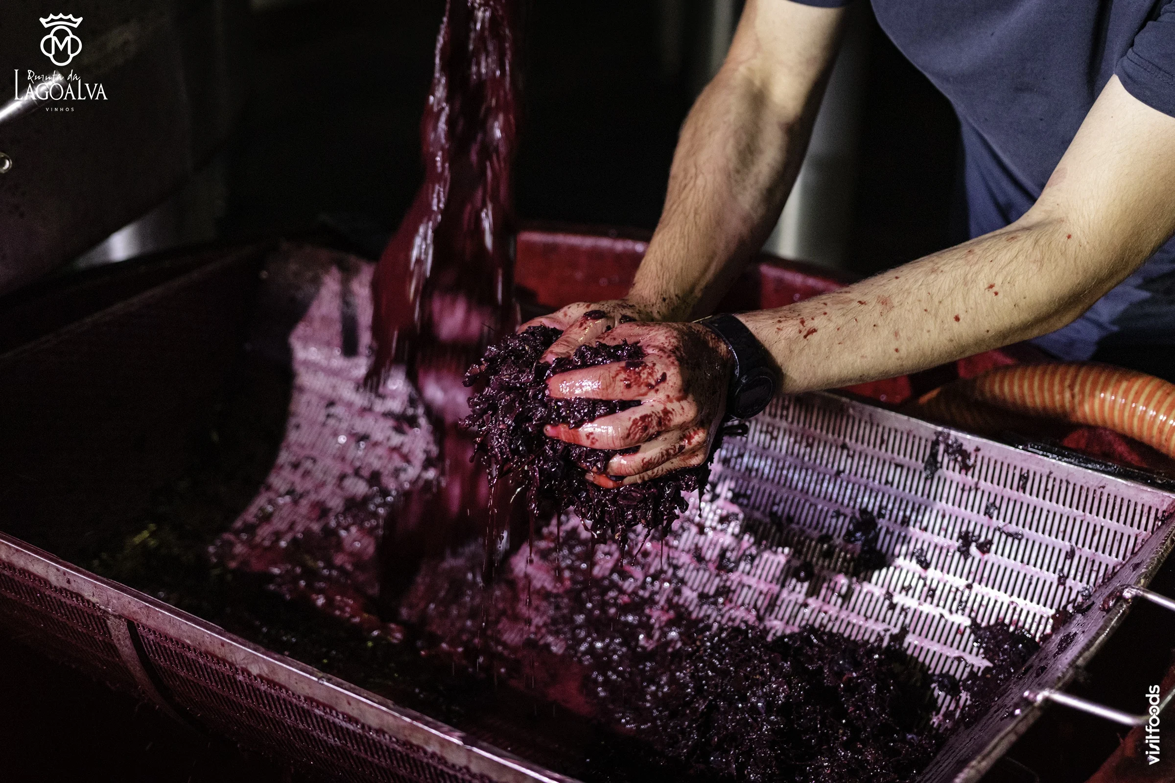 Quinta da Lagoalva – Curso de Vinhos & Almoço