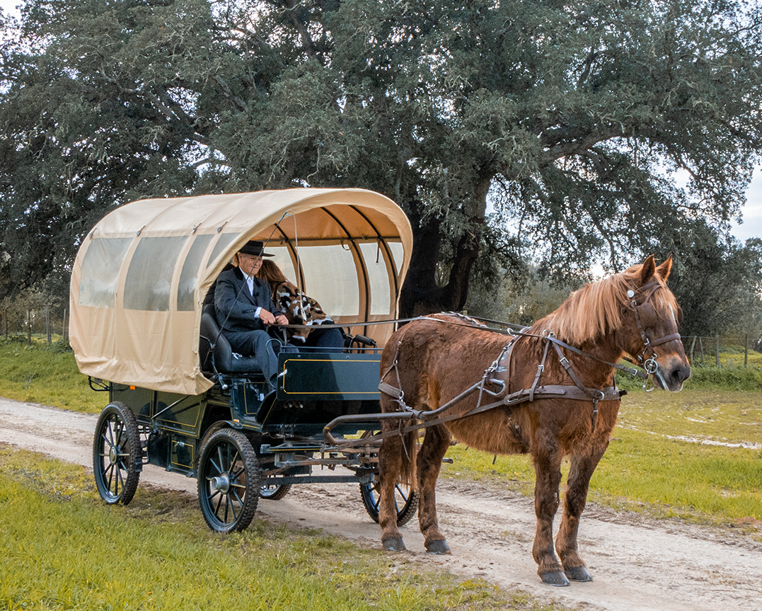 Quinta da Lagoalva – Visita & Passeio de Charrete