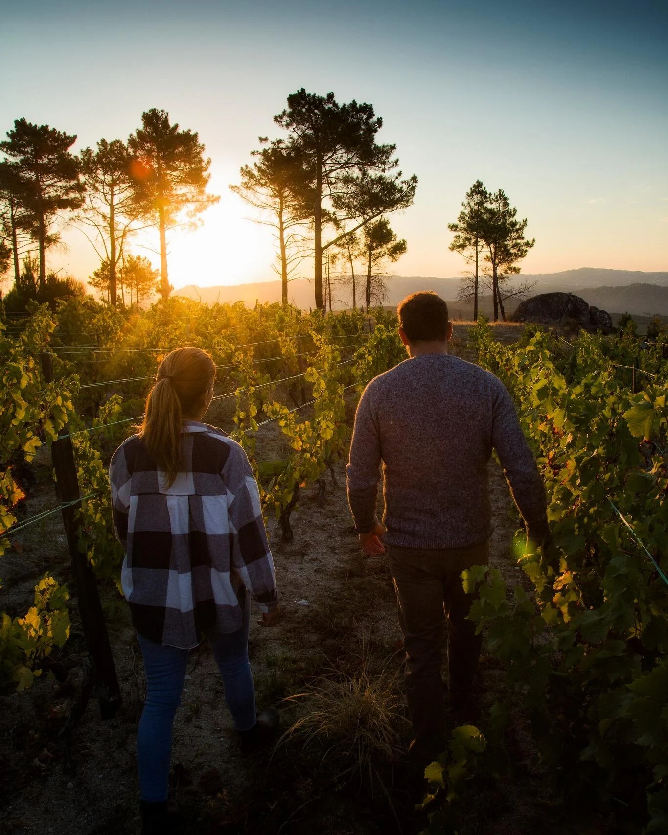 Adega Maçanita – Viagem pelos 4 Cantos de Portugal