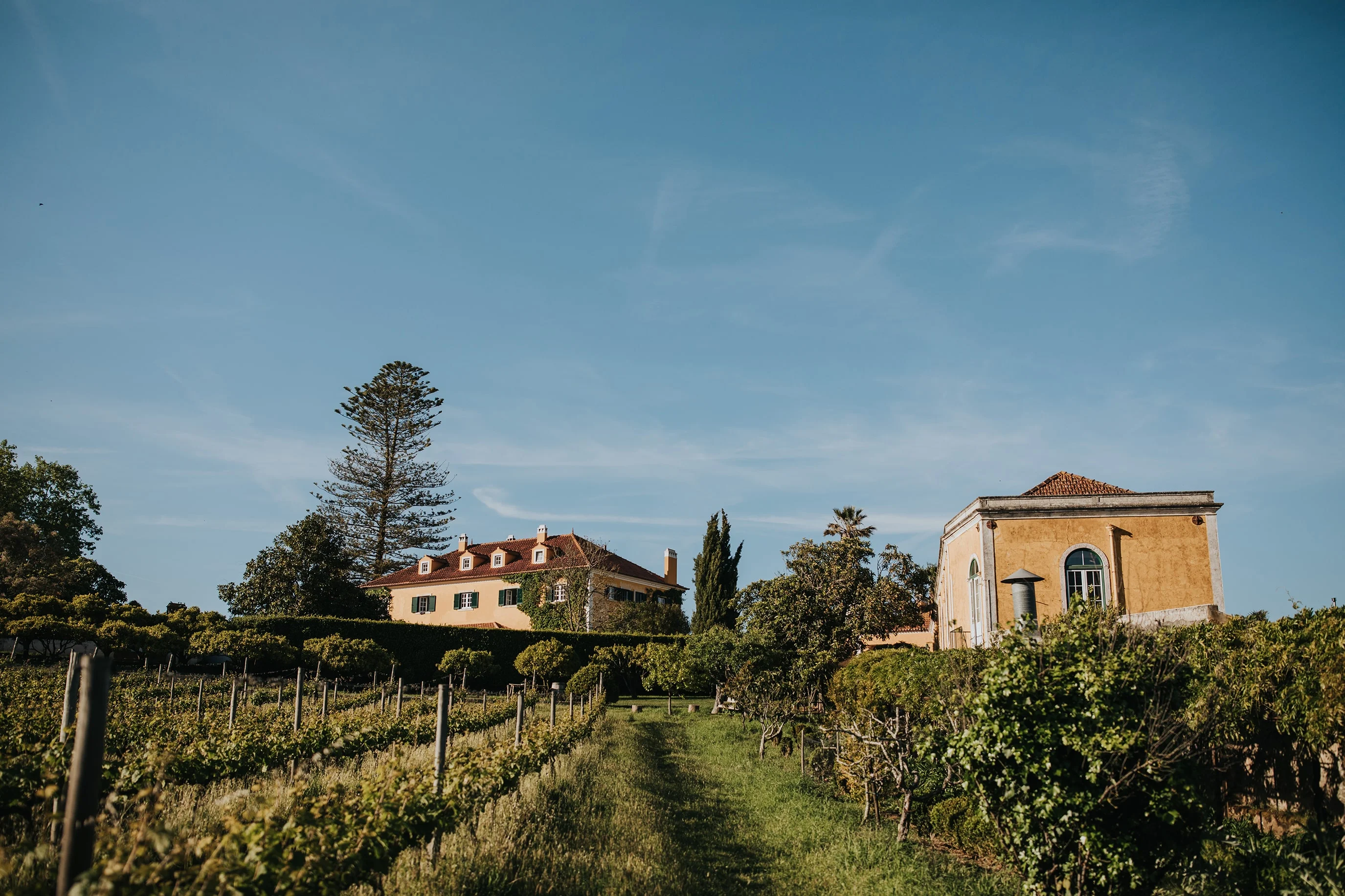 Quinta de Sant’Ana – Vintage Wine Adventurer