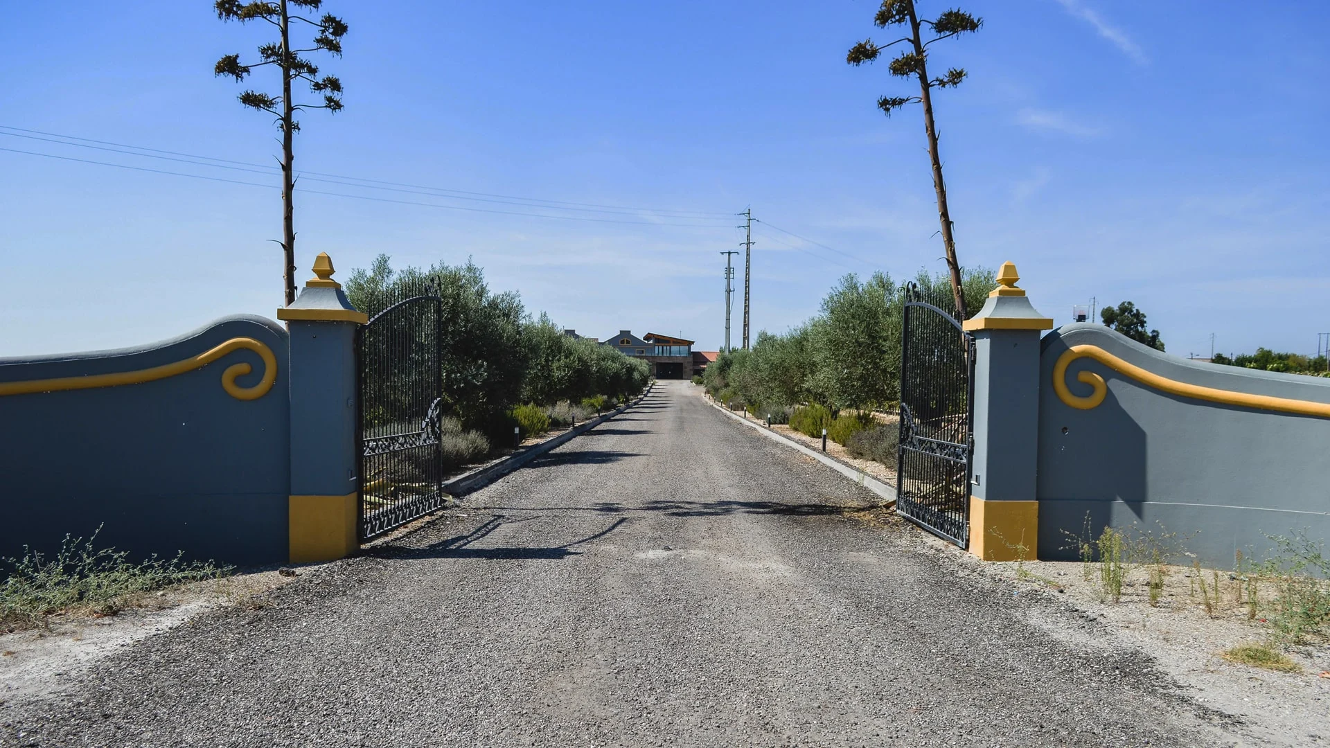 Filipe Palhoça Vinhos – Visita & Prova de 5 Vinhos