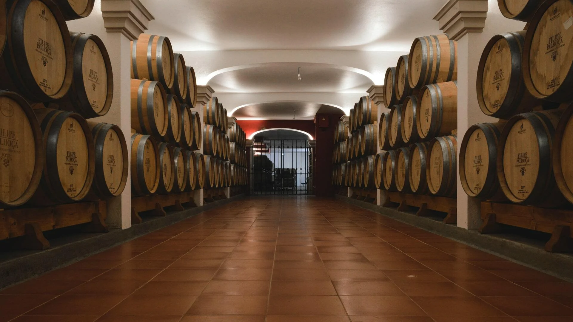 Filipe Palhoça Vinhos – Visita & Prova de 5 Vinhos