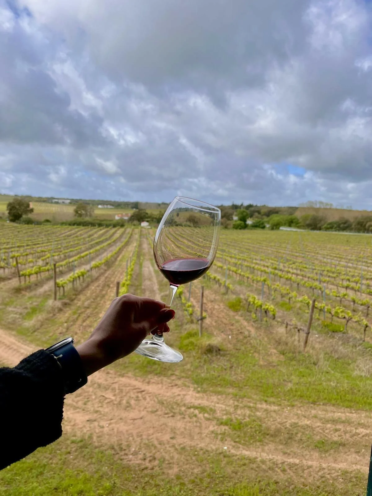 Herdade do Menir – Visita & Prova de Vinhos