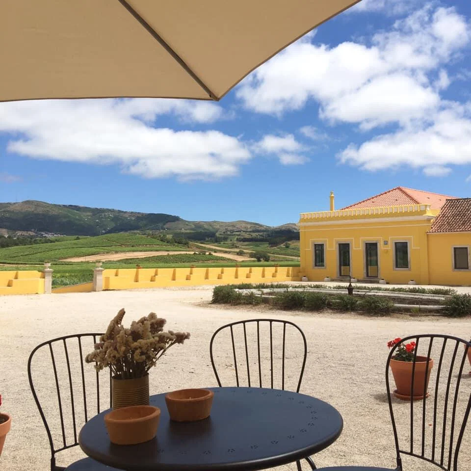 Quinta do Gradil – Menu Vínico