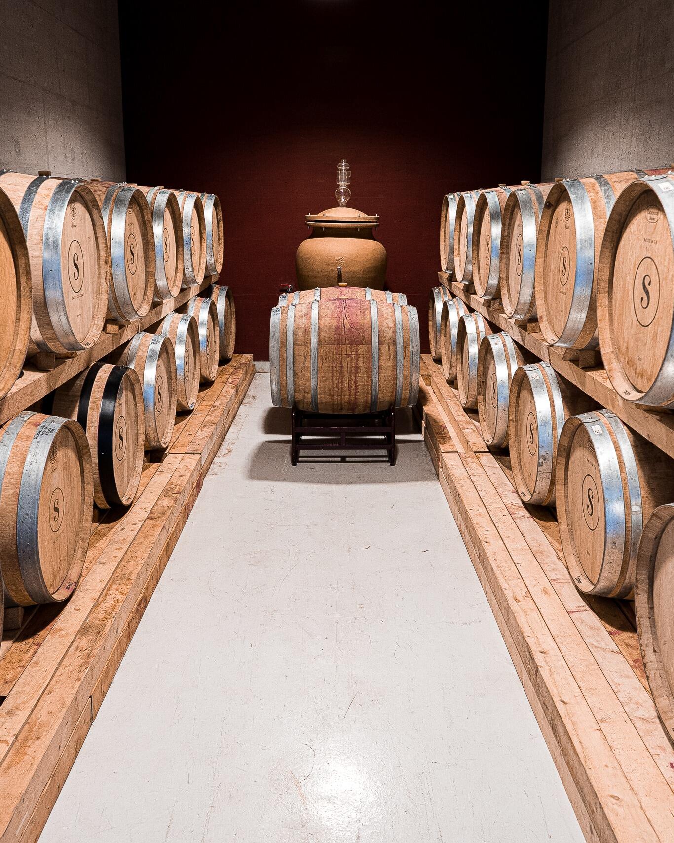 Quinta dos Sentidos – Visita & Prova Privada