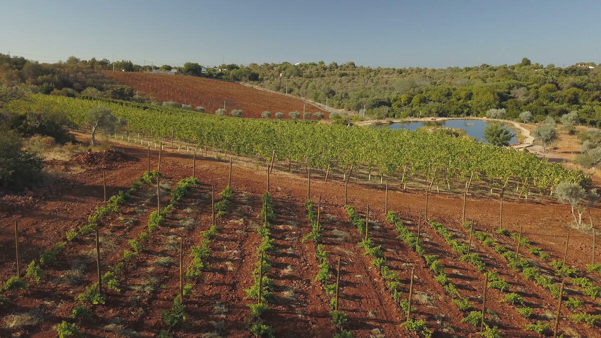 Quinta dos Sentidos – Piquenique