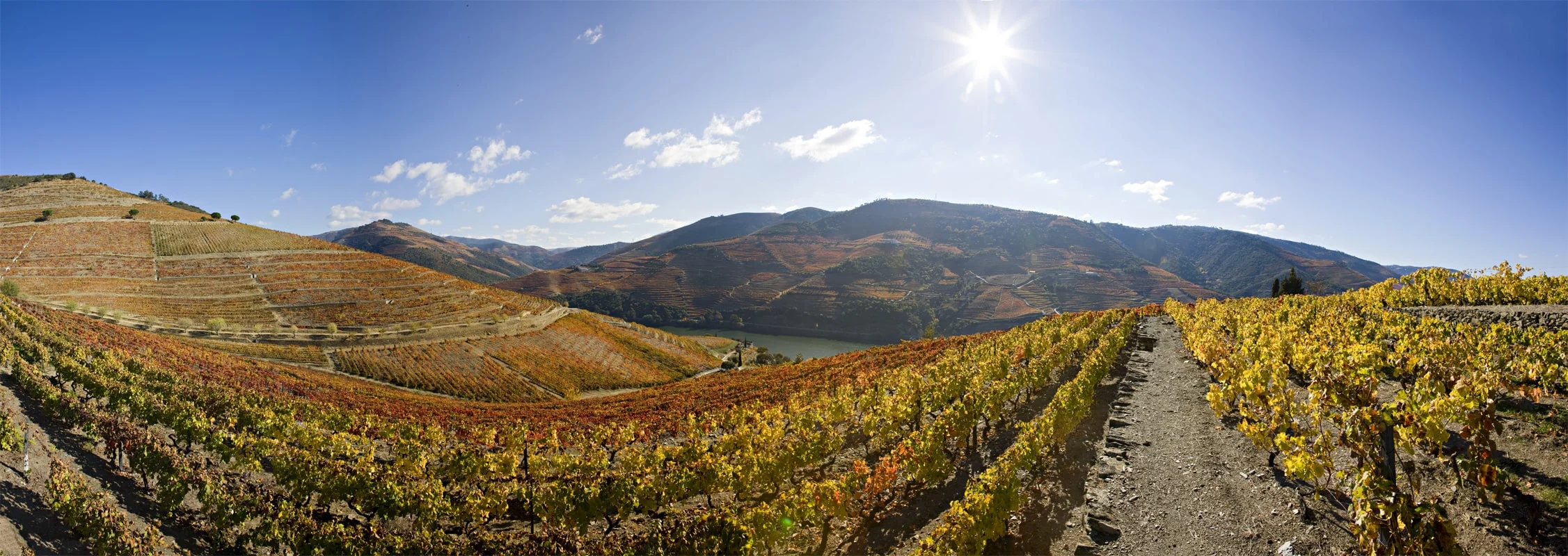 Quinta Nova – Visita Dois Territórios