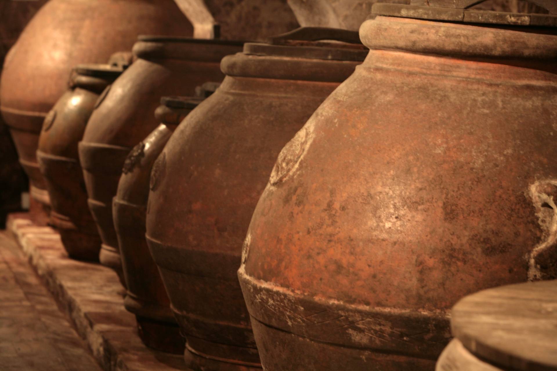 Tour of historic wineries and oil tasting