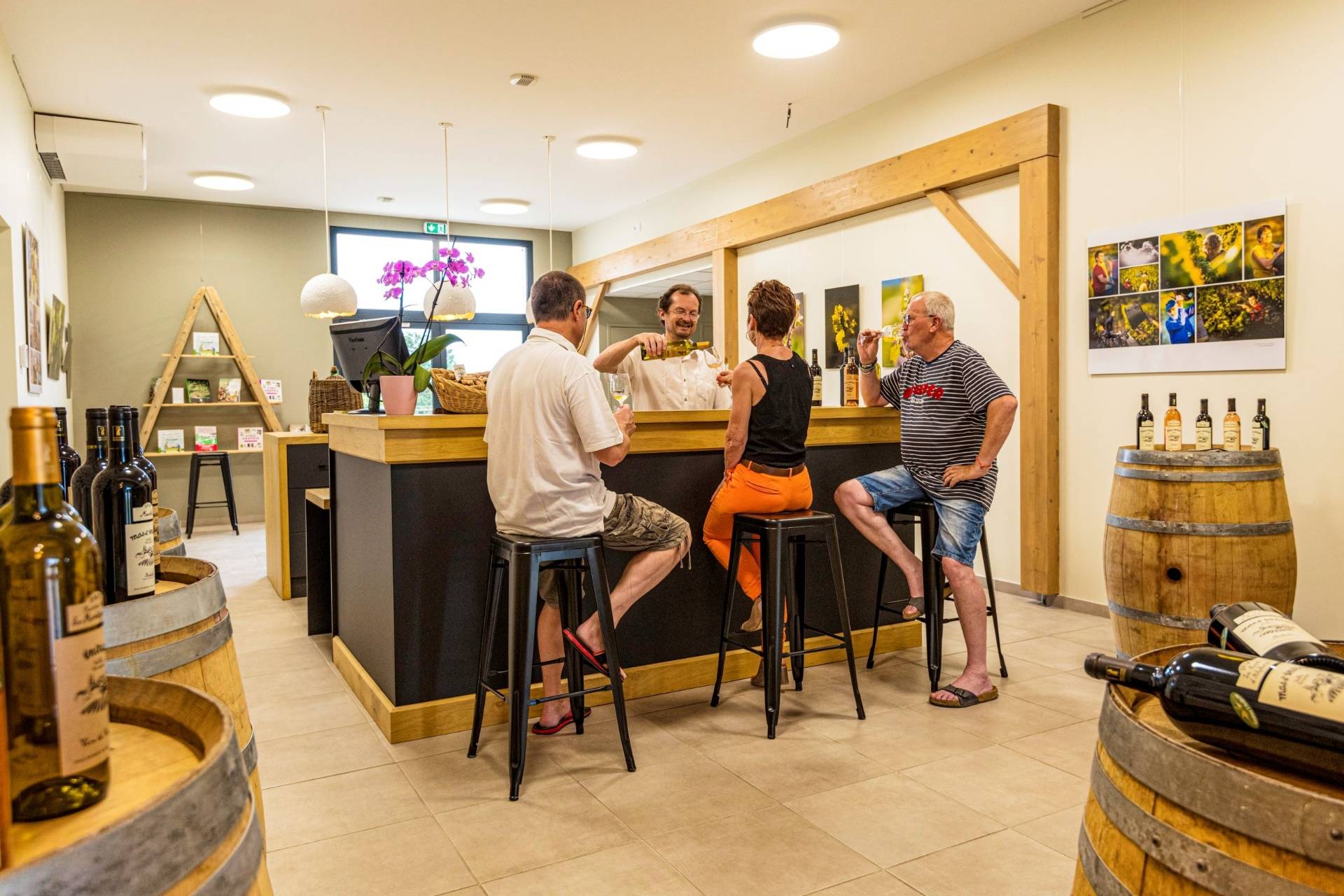 Guided tour and tasting of our organic wines