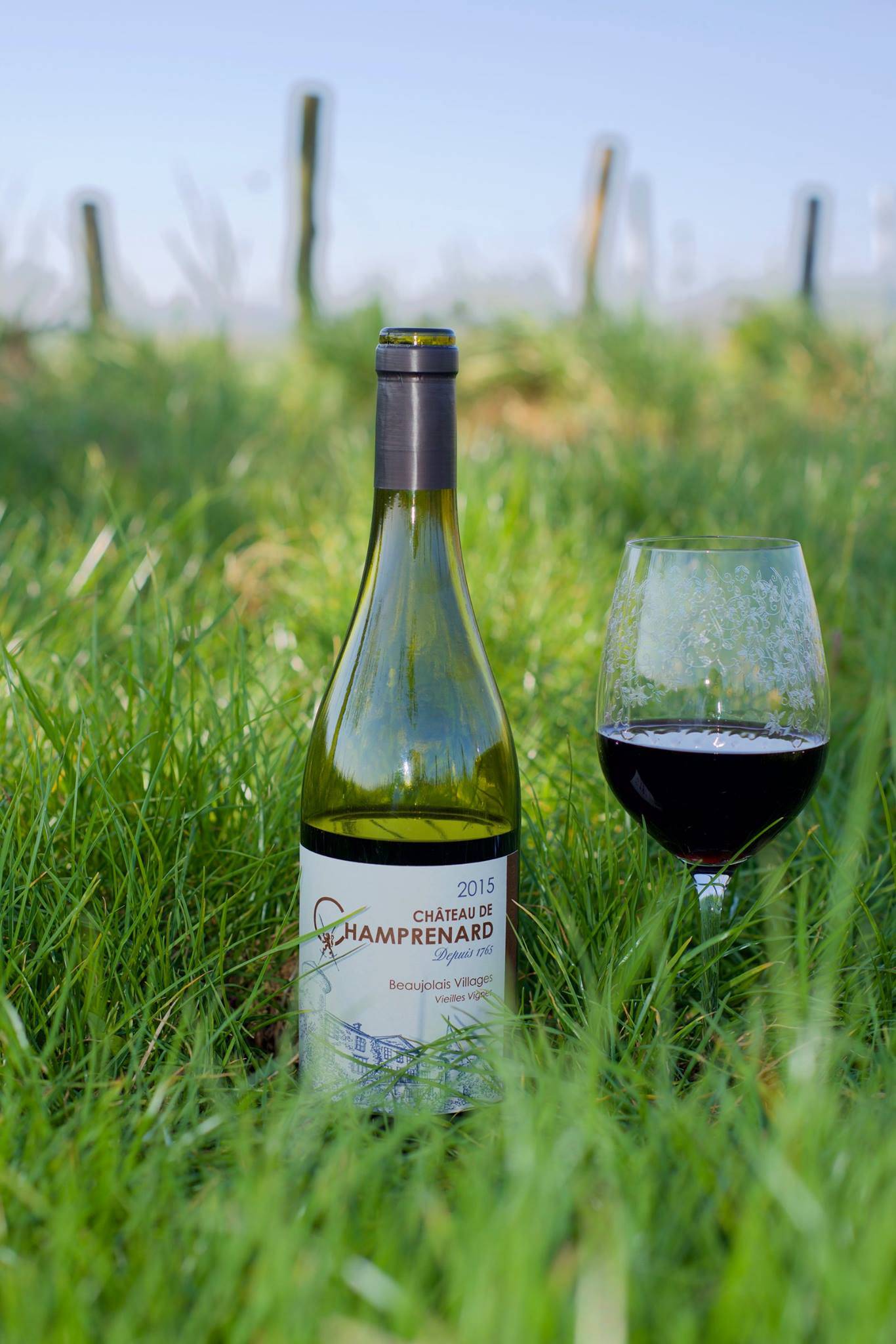 Gourmet walk in the romantic gardens of the Château de Champ-Renard