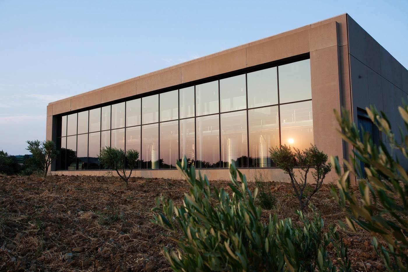 Visit our cellars and taste the estate’s wines