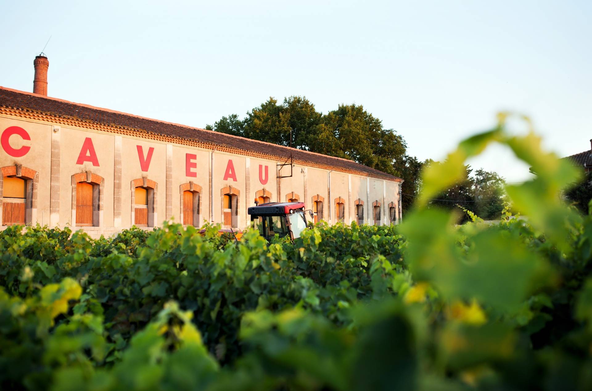 Tasting at the Domaine