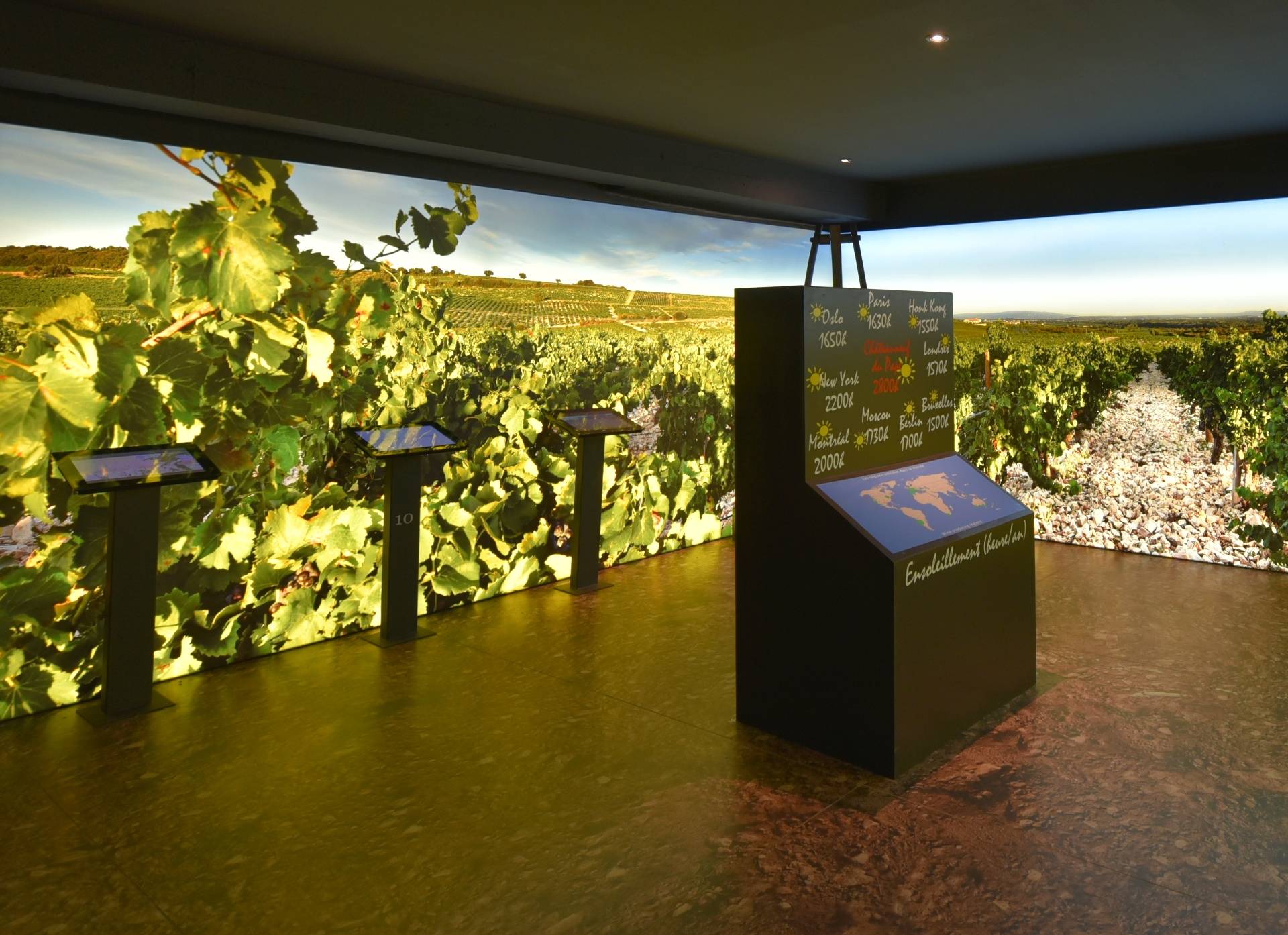 MAISON BROTTE – MUSÉE DU VIN