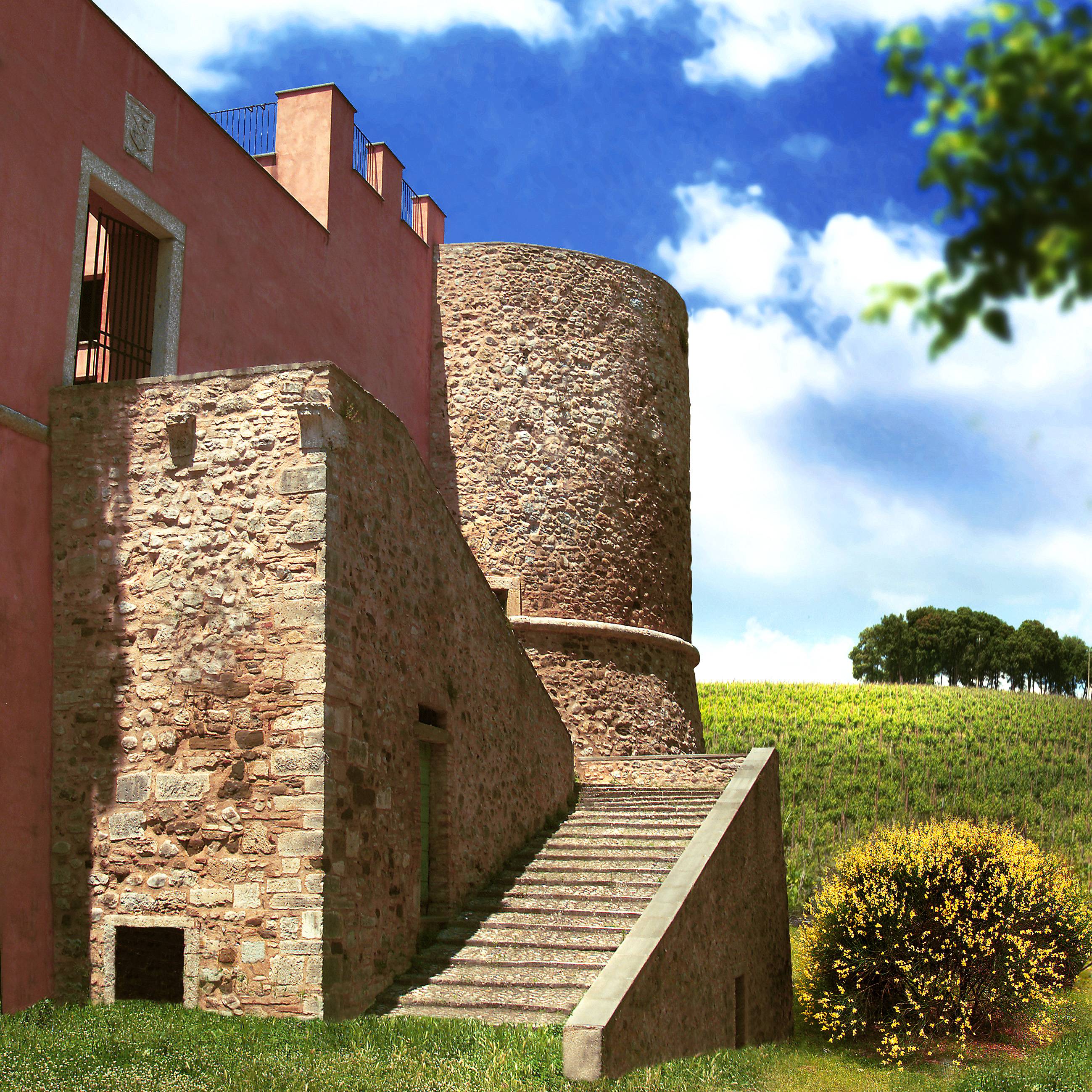 Castello di Corbara: A Thousand Hectares in a Glass