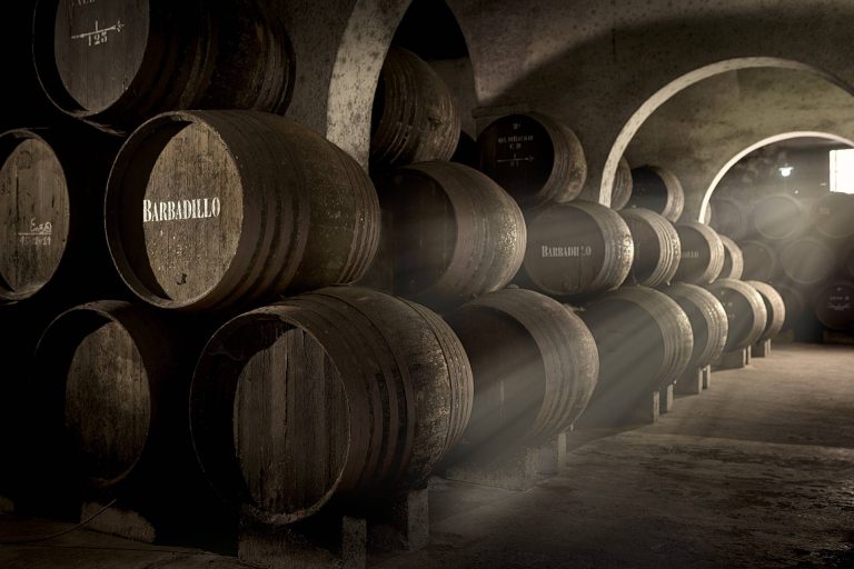 Private visit to the winery and tasting 3 wines with Iberian products