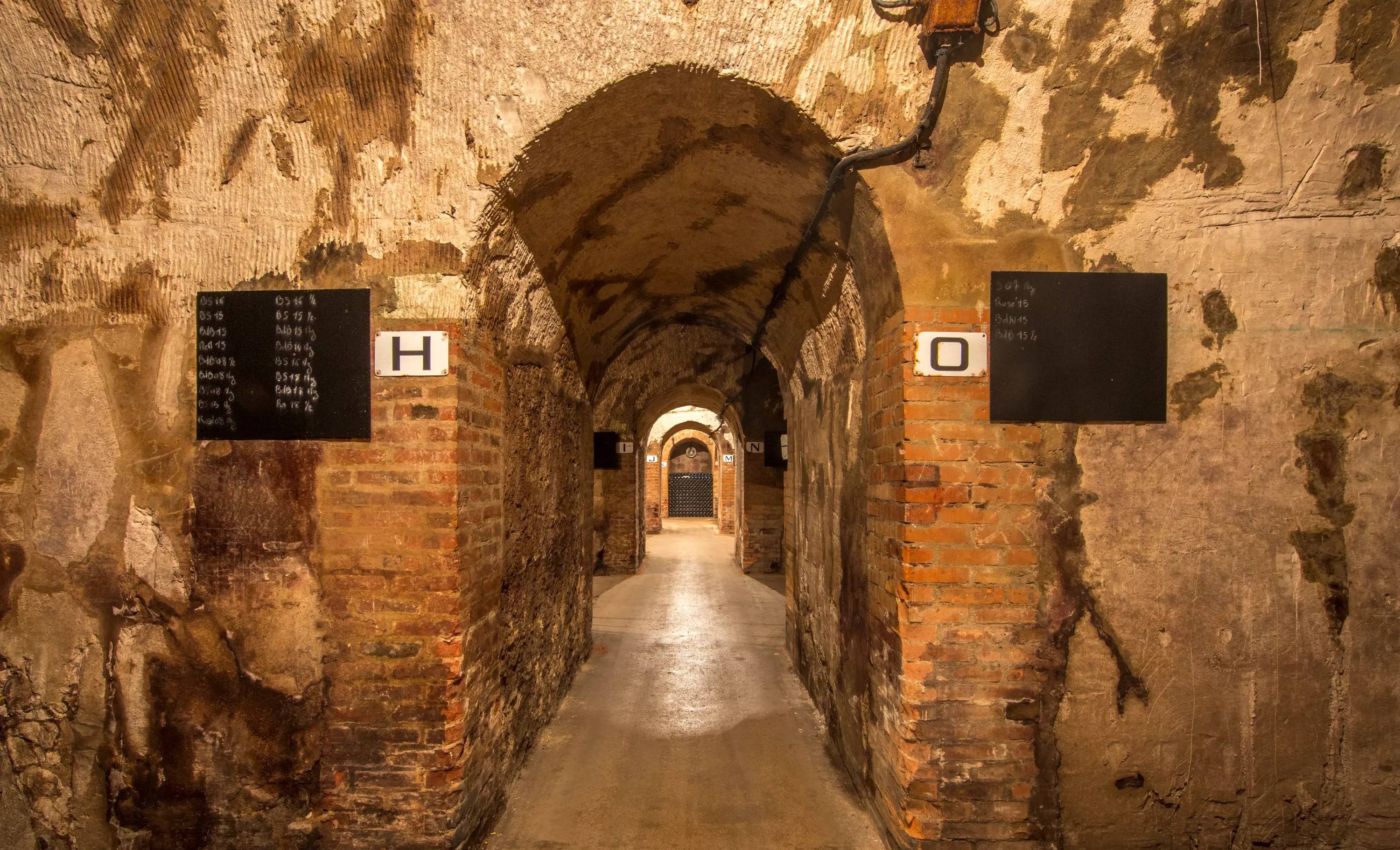 Awakening the senses