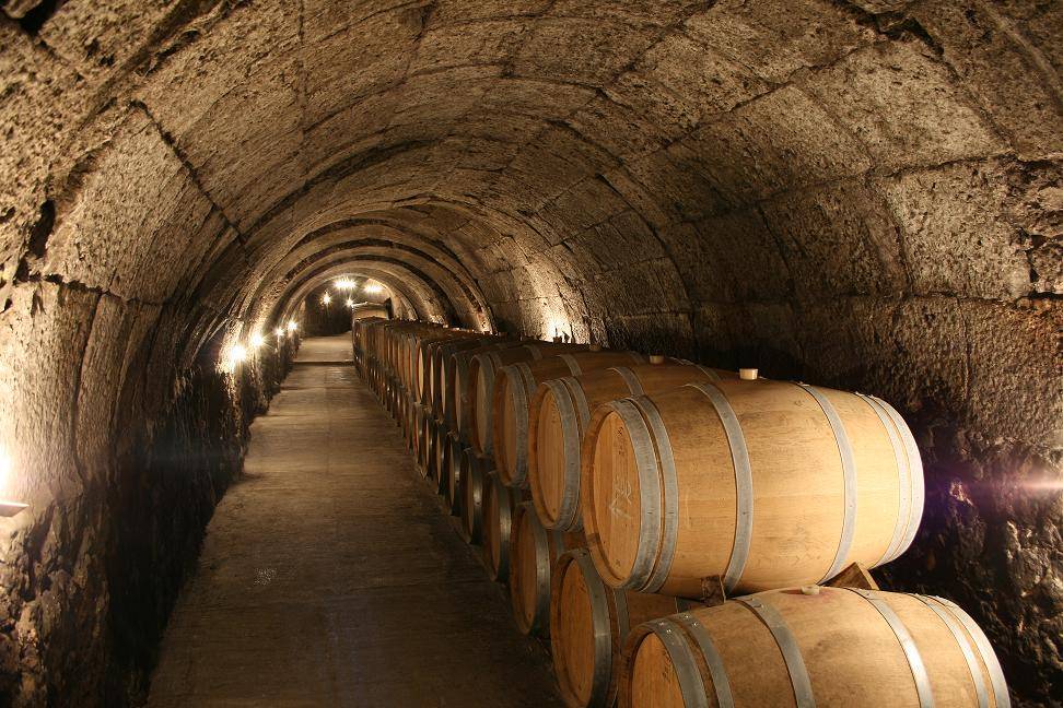 Visit 16th century underground cellar