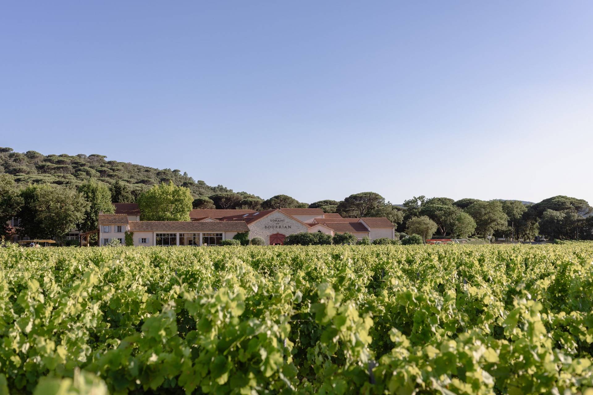 DOMAINE DU BOURRIAN