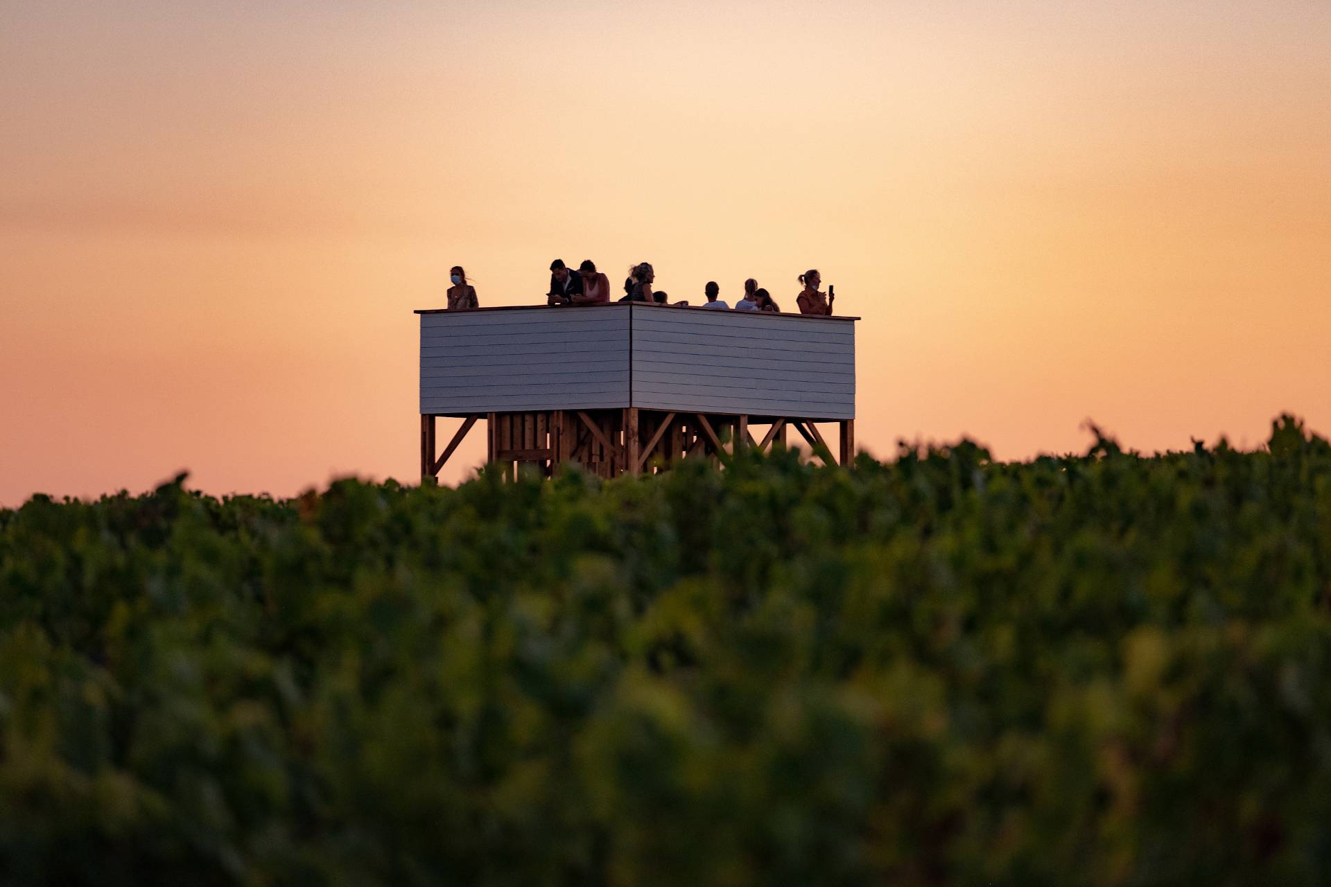 Tour Blanche Moment – Gourmet Getaway at Sunset