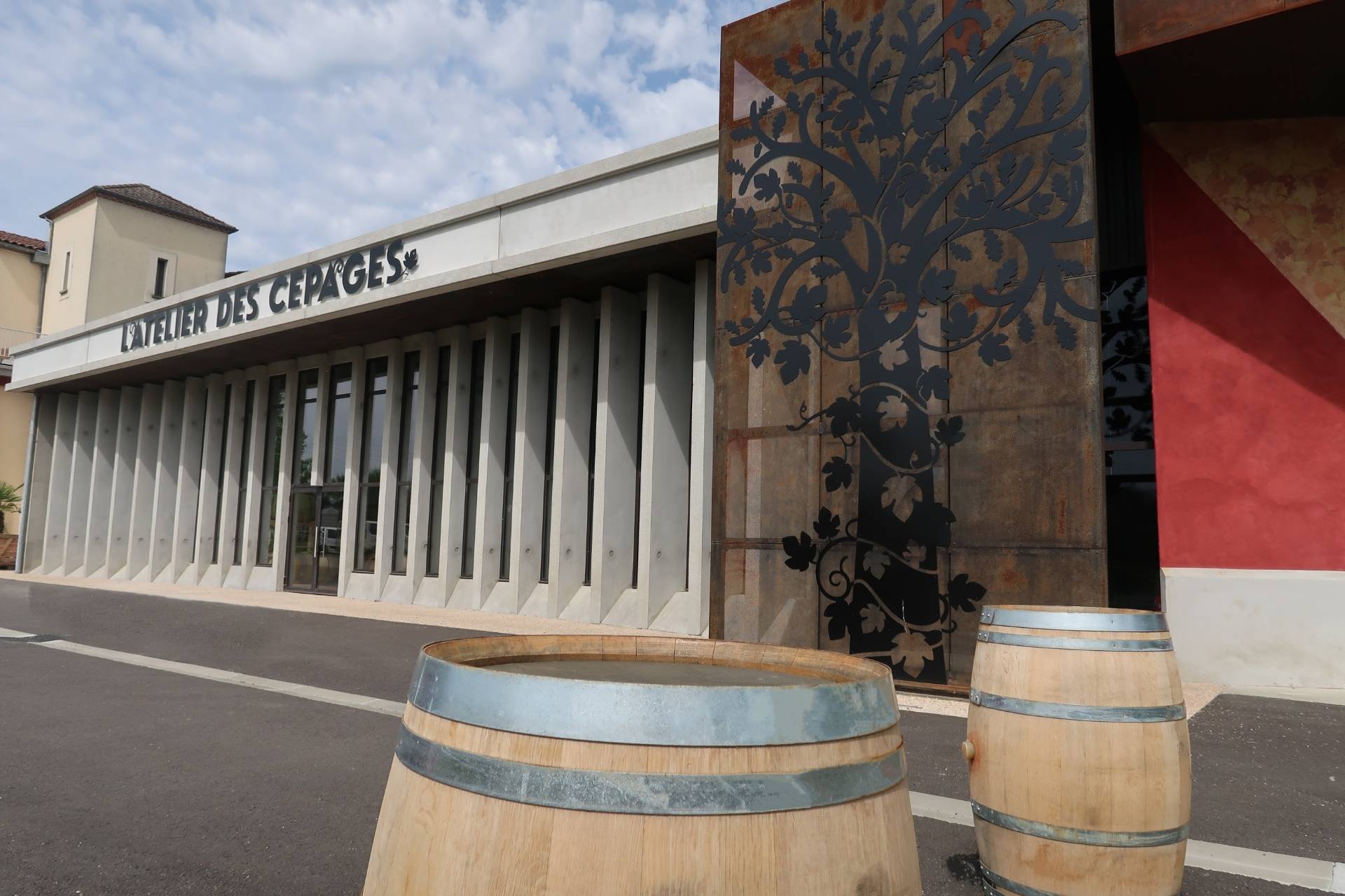 From the vine to the cellar