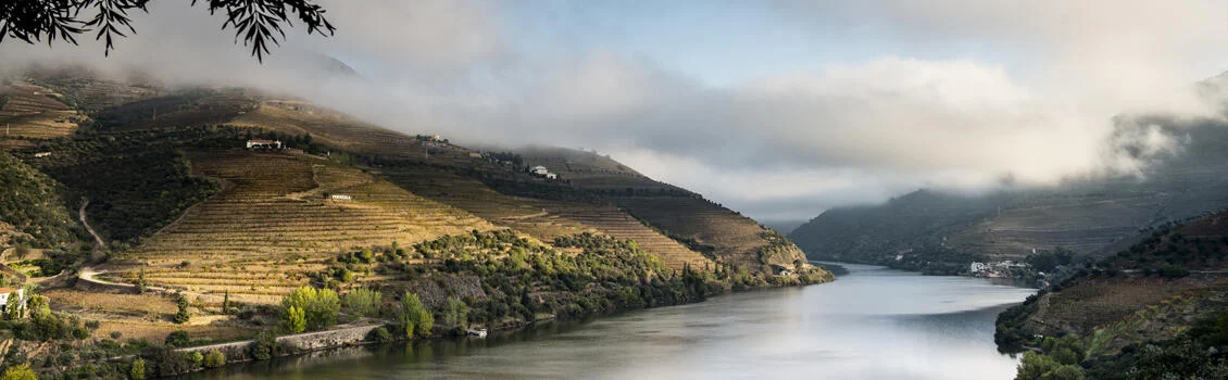 Douro Vinhateiro