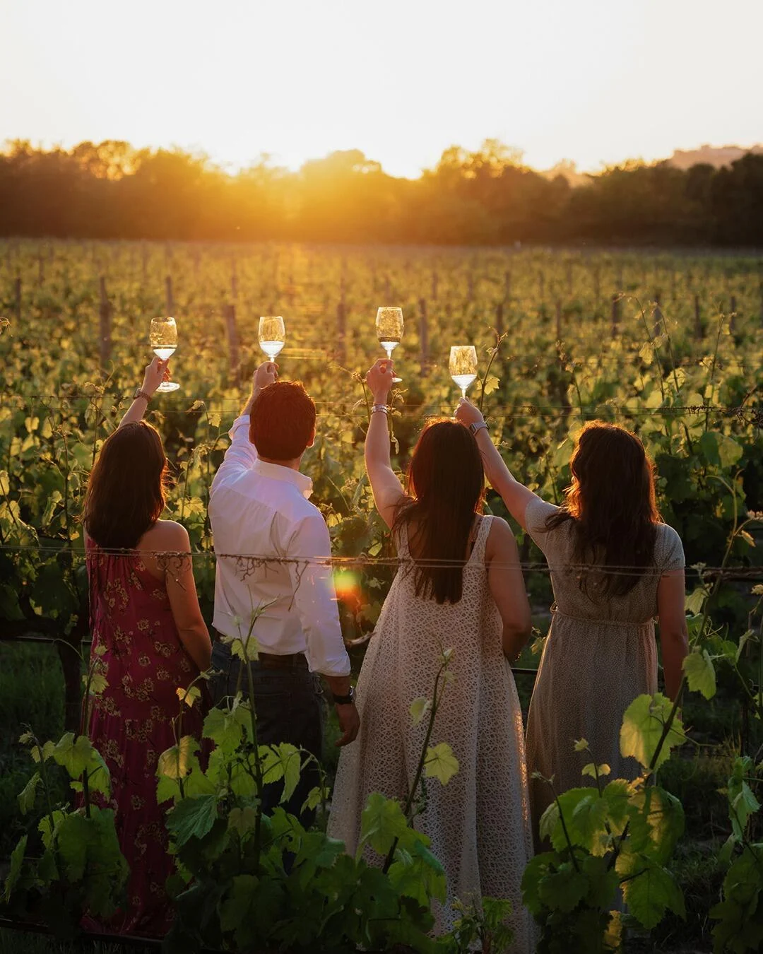 Quinta da Alorna – Prova 3 Reservas