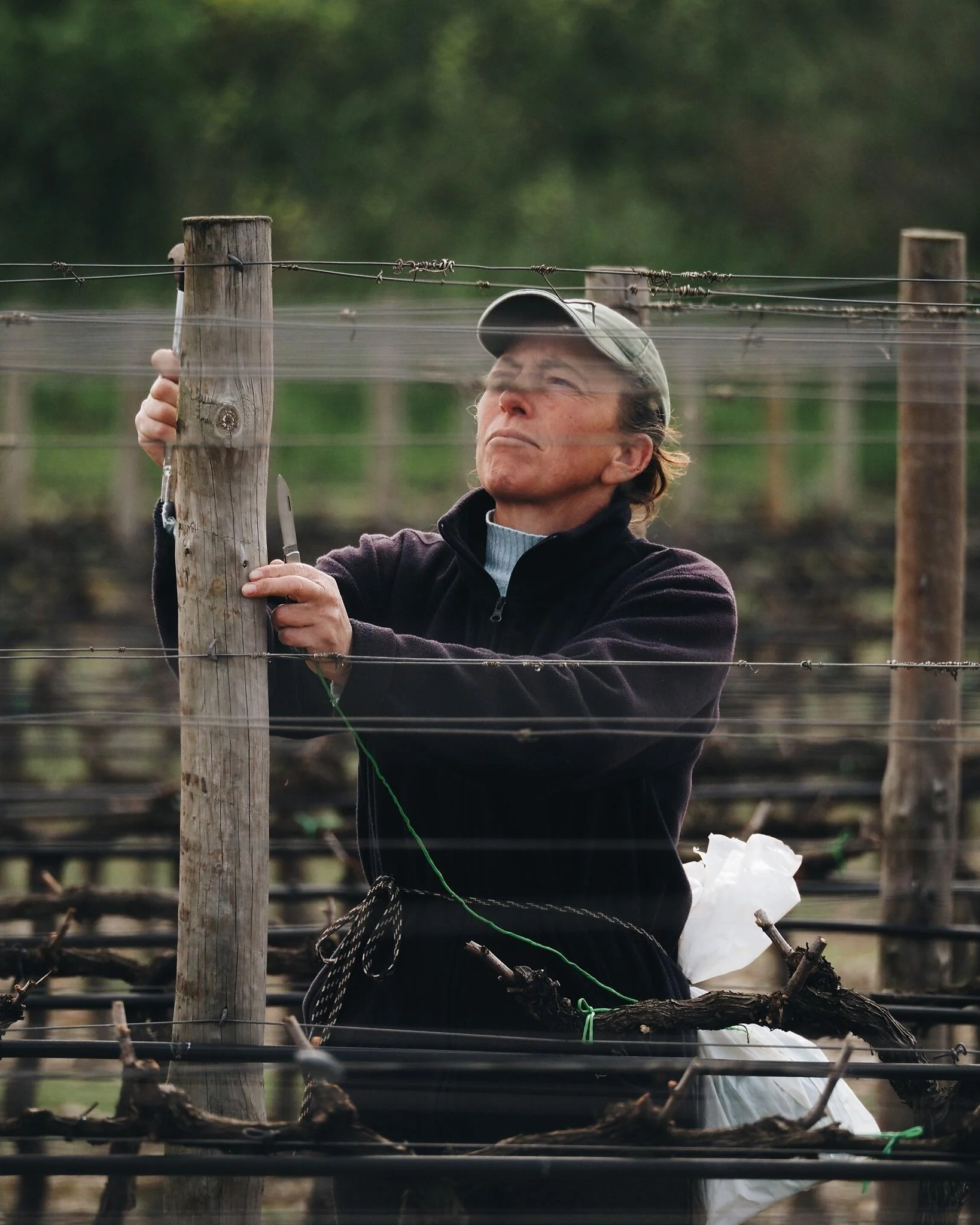 Quinta da Alorna – Prova Monocastas