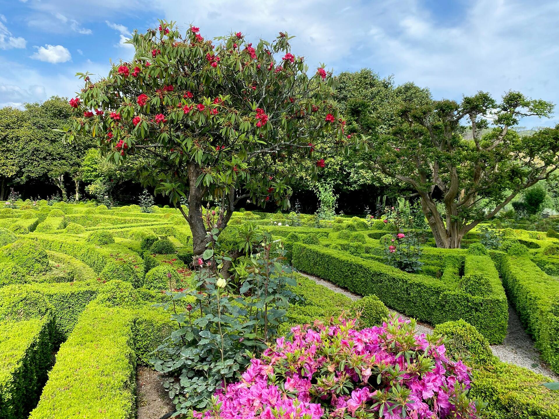 Casa de Mateus – Visita & Prova “Vinha & Vinho”