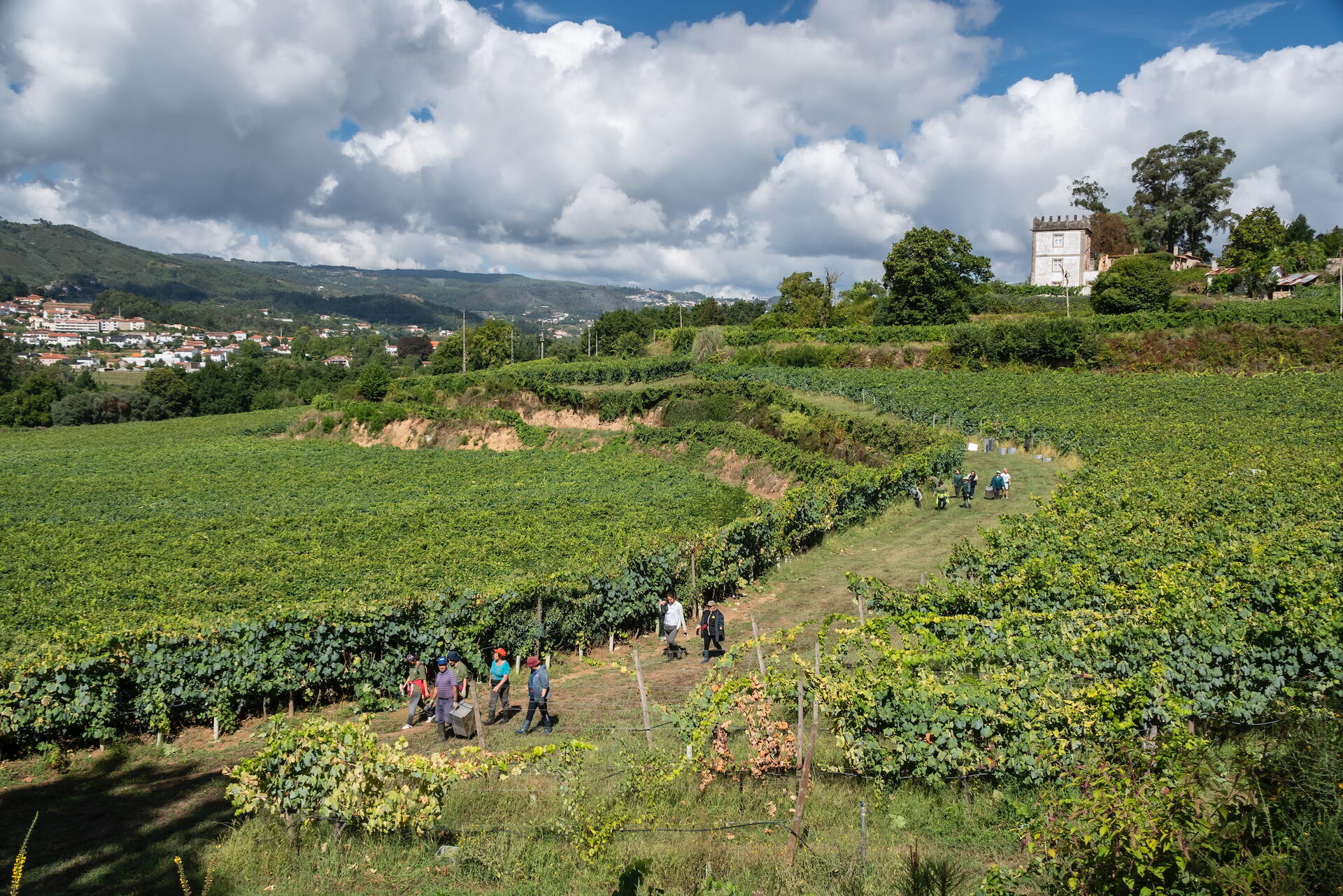Quinta da Raza – Visita & Prova Exclusiva Plus