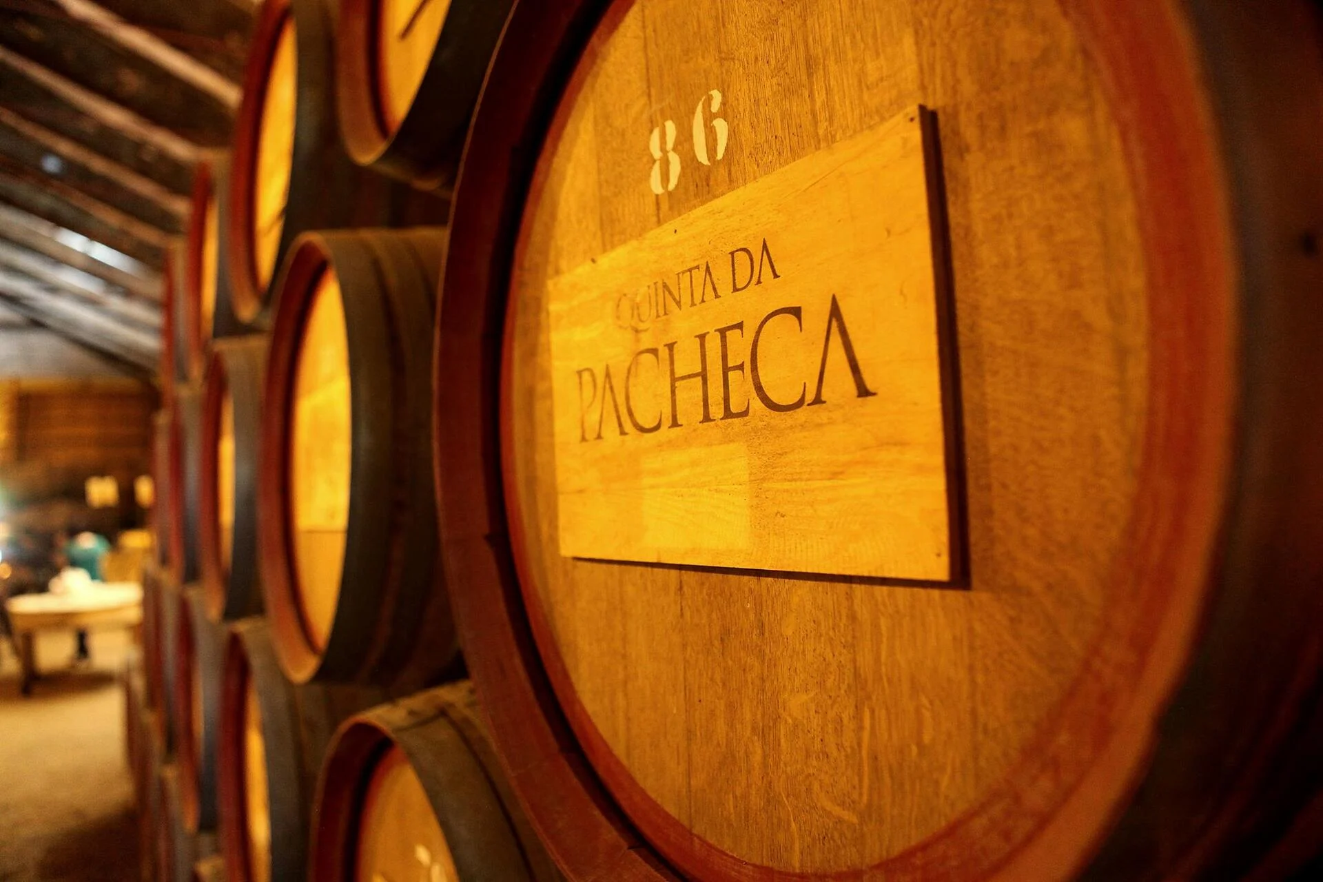 Quinta da Pacheca – Curso Iniciação à Prova