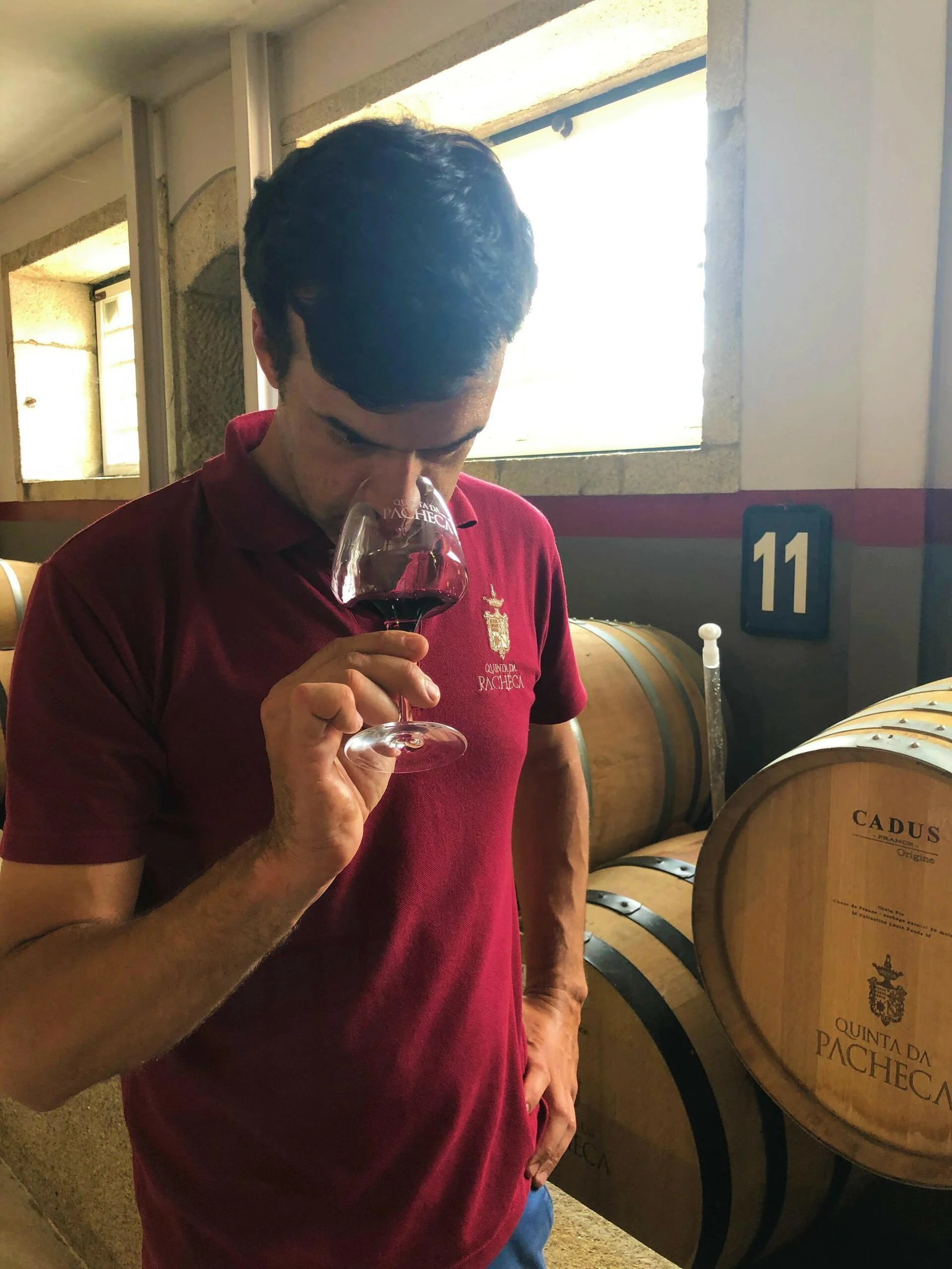 Quinta da Pacheca – Curso Iniciação à Prova