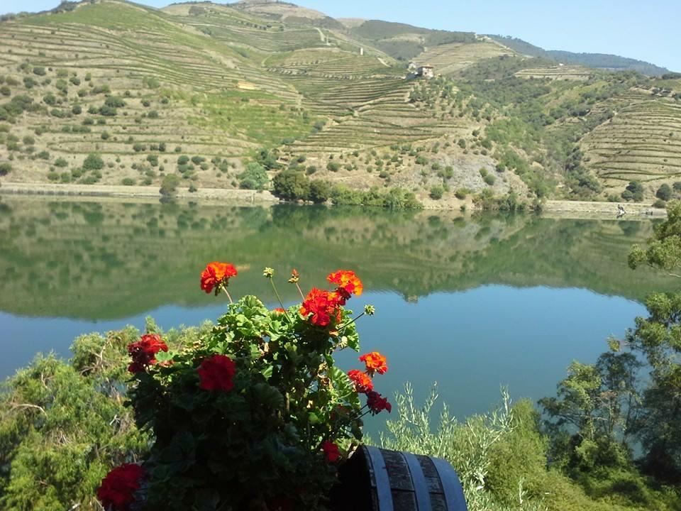 Tour Privado ao Douro Vinhateiro