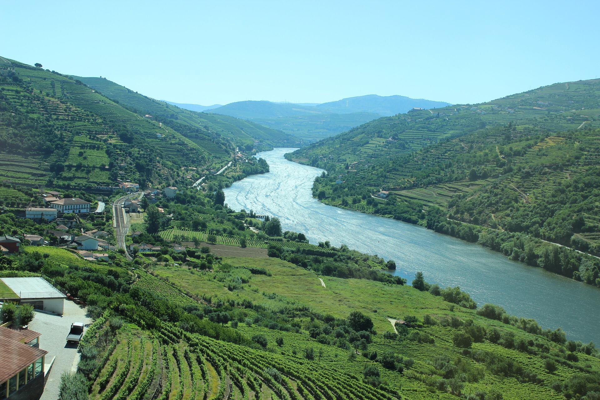 Tour Privado ao Douro Vinhateiro