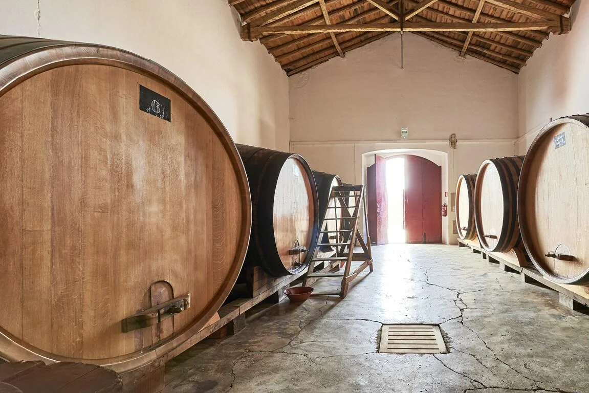 Mouchão – Visita à Adega, Vinha & Prova de Vinhos