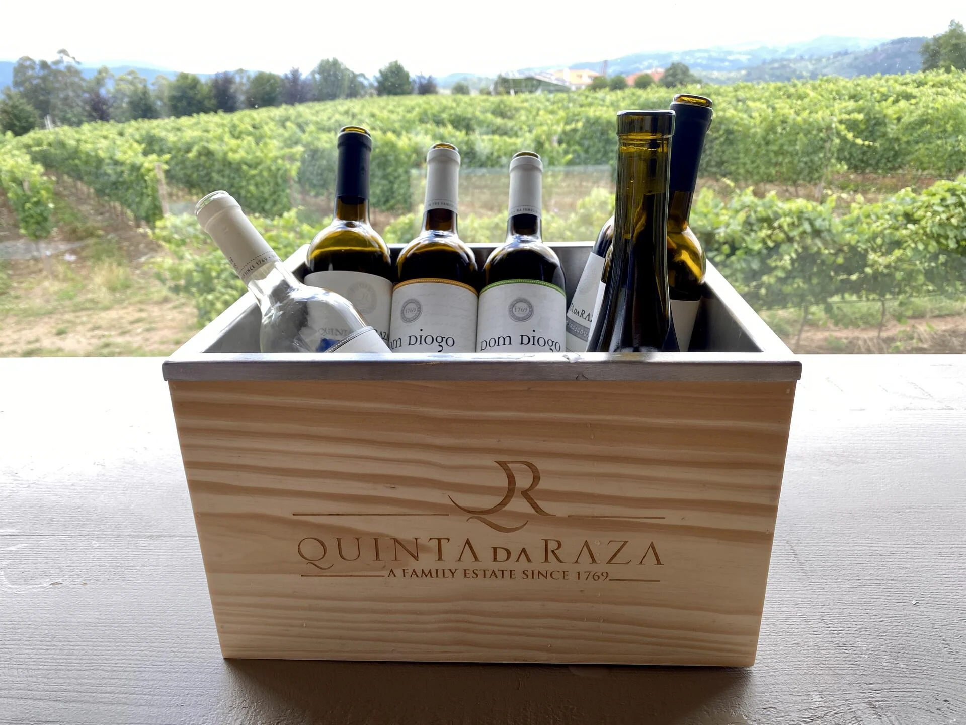 Quinta da Raza – Passeio Pelas Vinhas & Horta