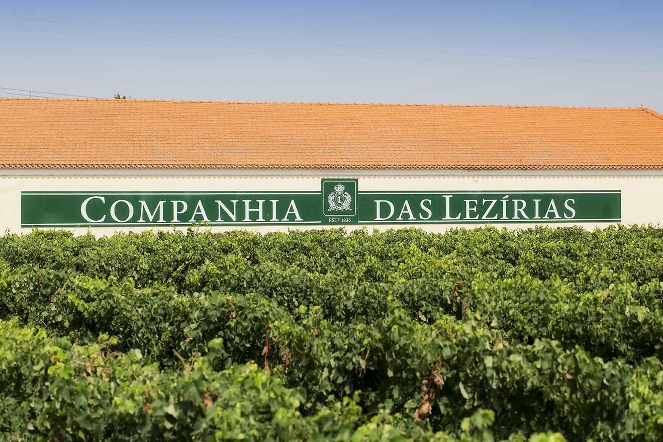 Companhia das Lezírias – À Descoberta do Terroir