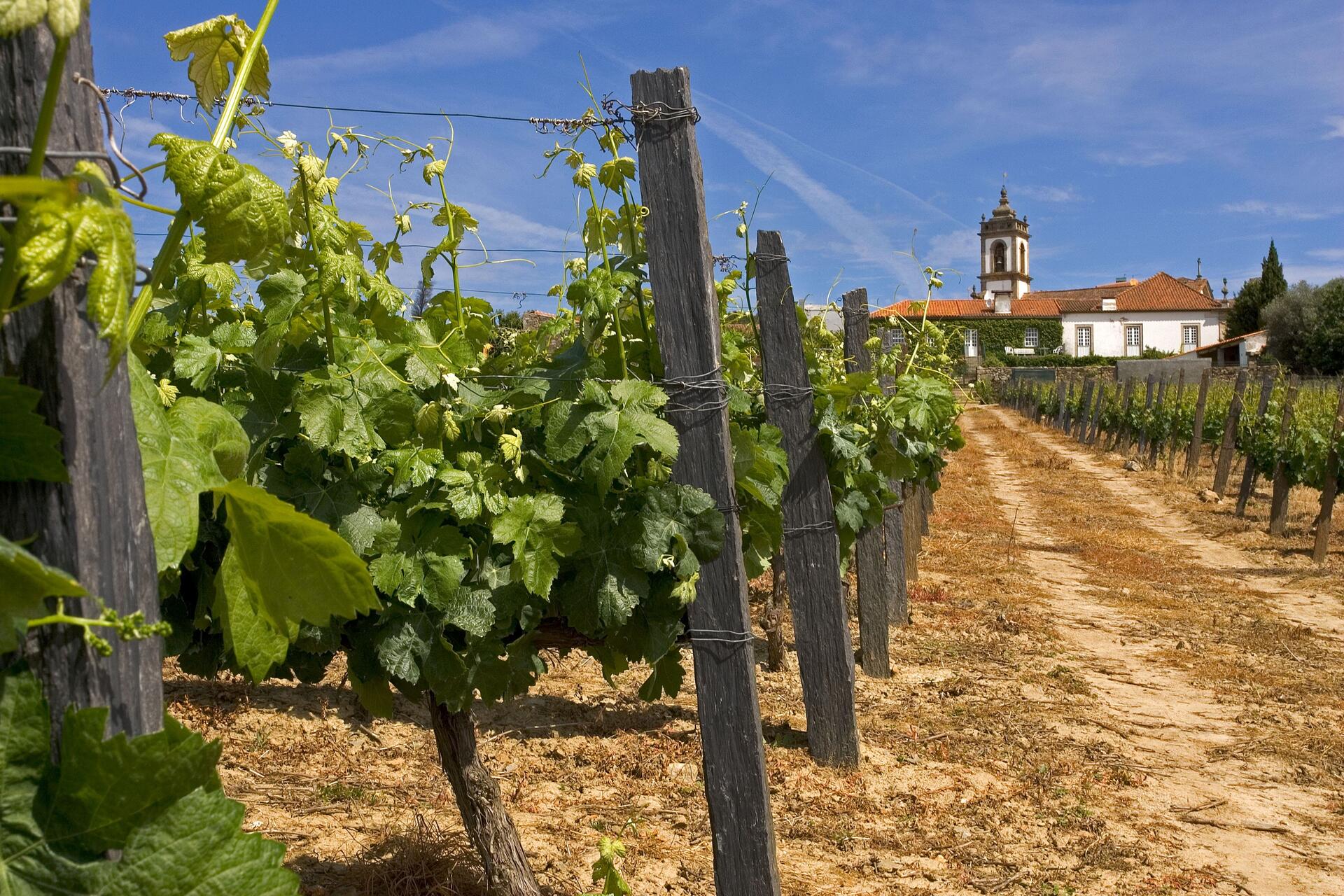 Lavradores de Feitoria – Visita & Prova Identidade