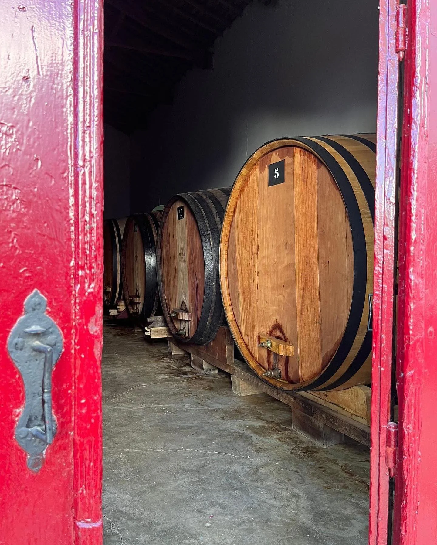 Mouchão – Visita à Adega, Vinha & Prova de Vinhos