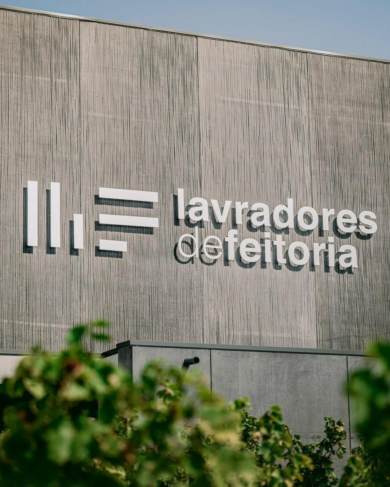 Lavradores de Feitoria – Visita & Prova Terroir