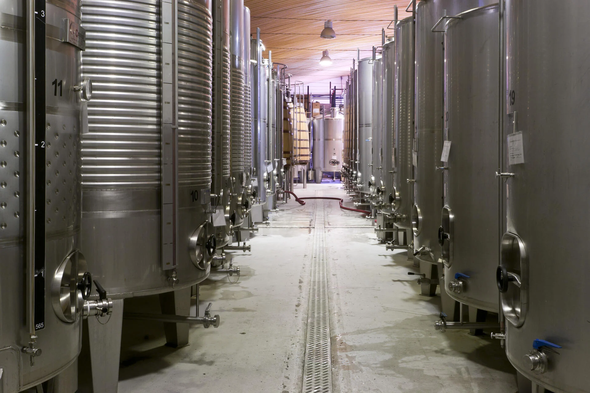 Lavradores de Feitoria – Visita & Prova Terroir