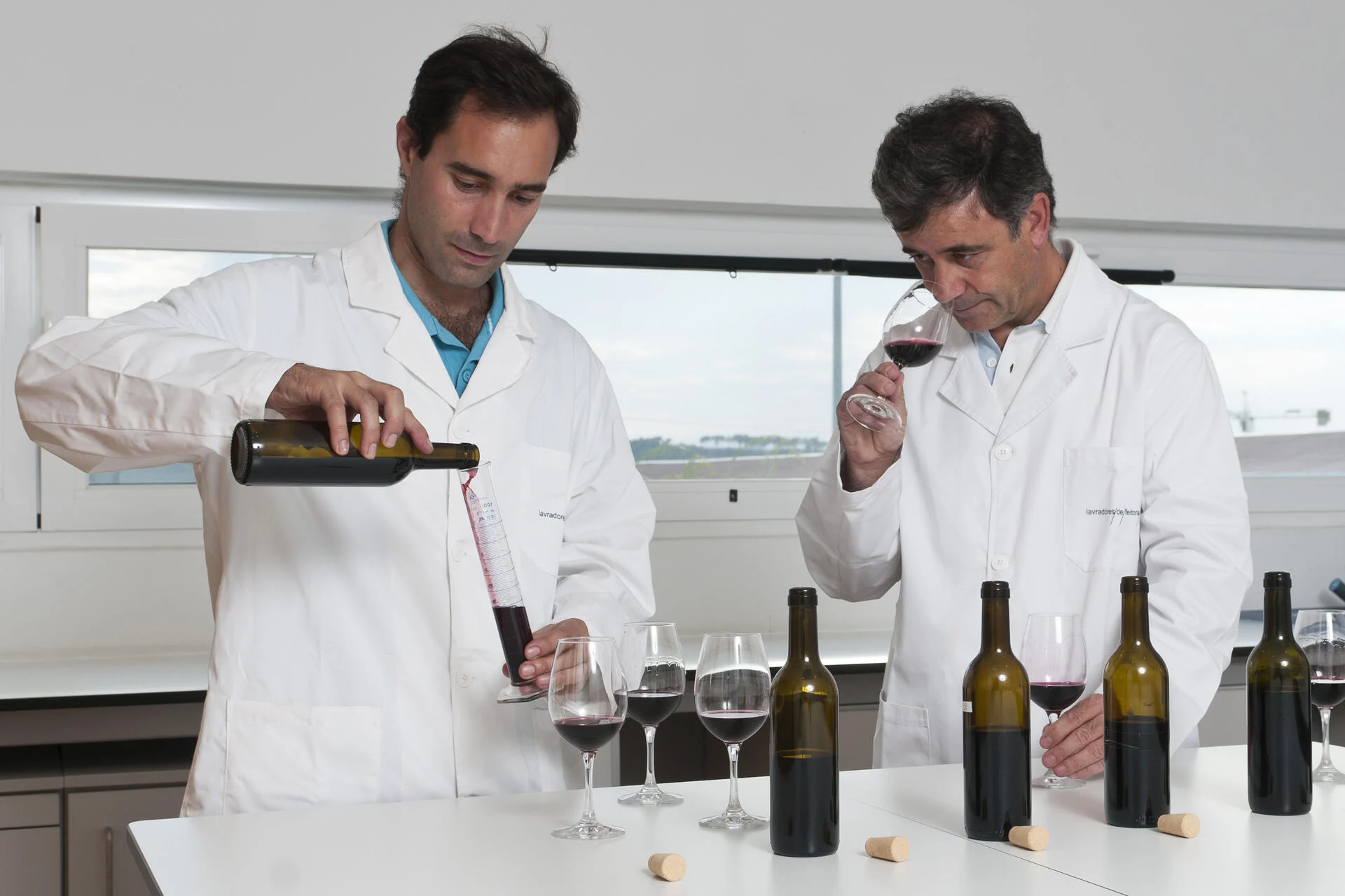 Lavradores de Feitoria – Visita & Prova Terroir