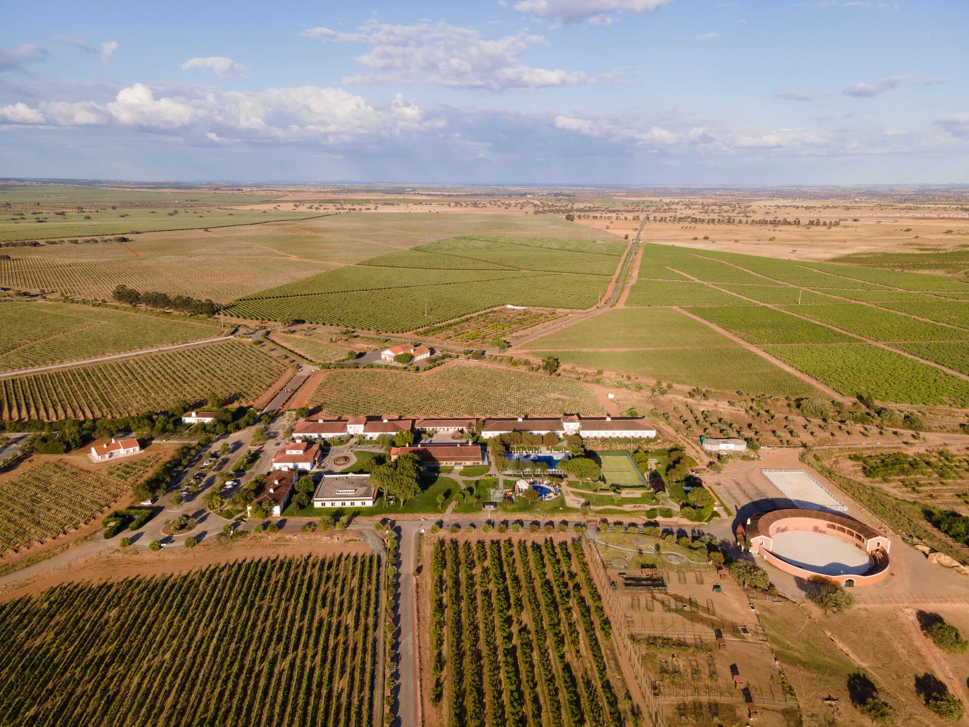 Casa de Santa Vitória – Enoturismo & Gastronomia