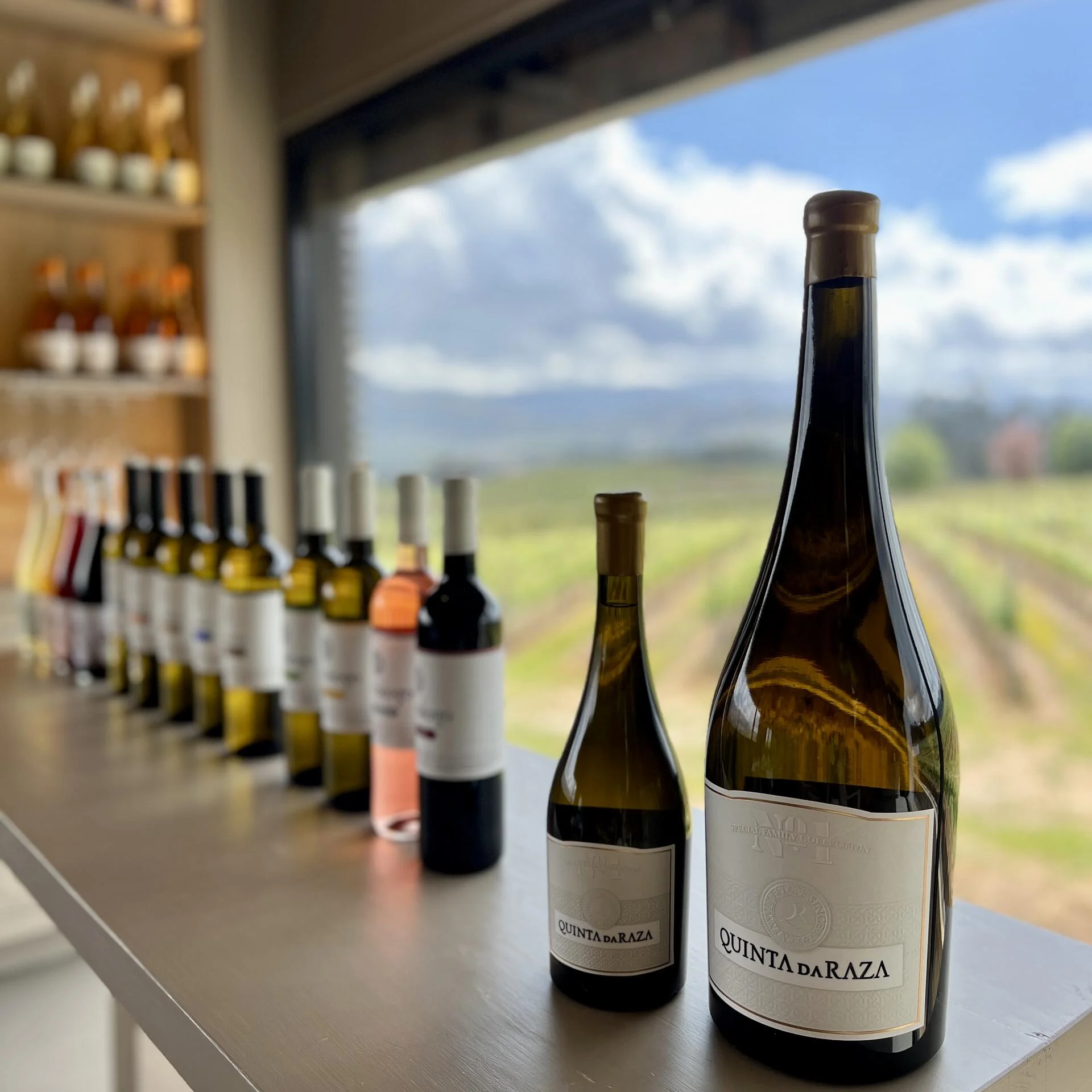 Quinta da Raza: Visita & Prova Personalizada