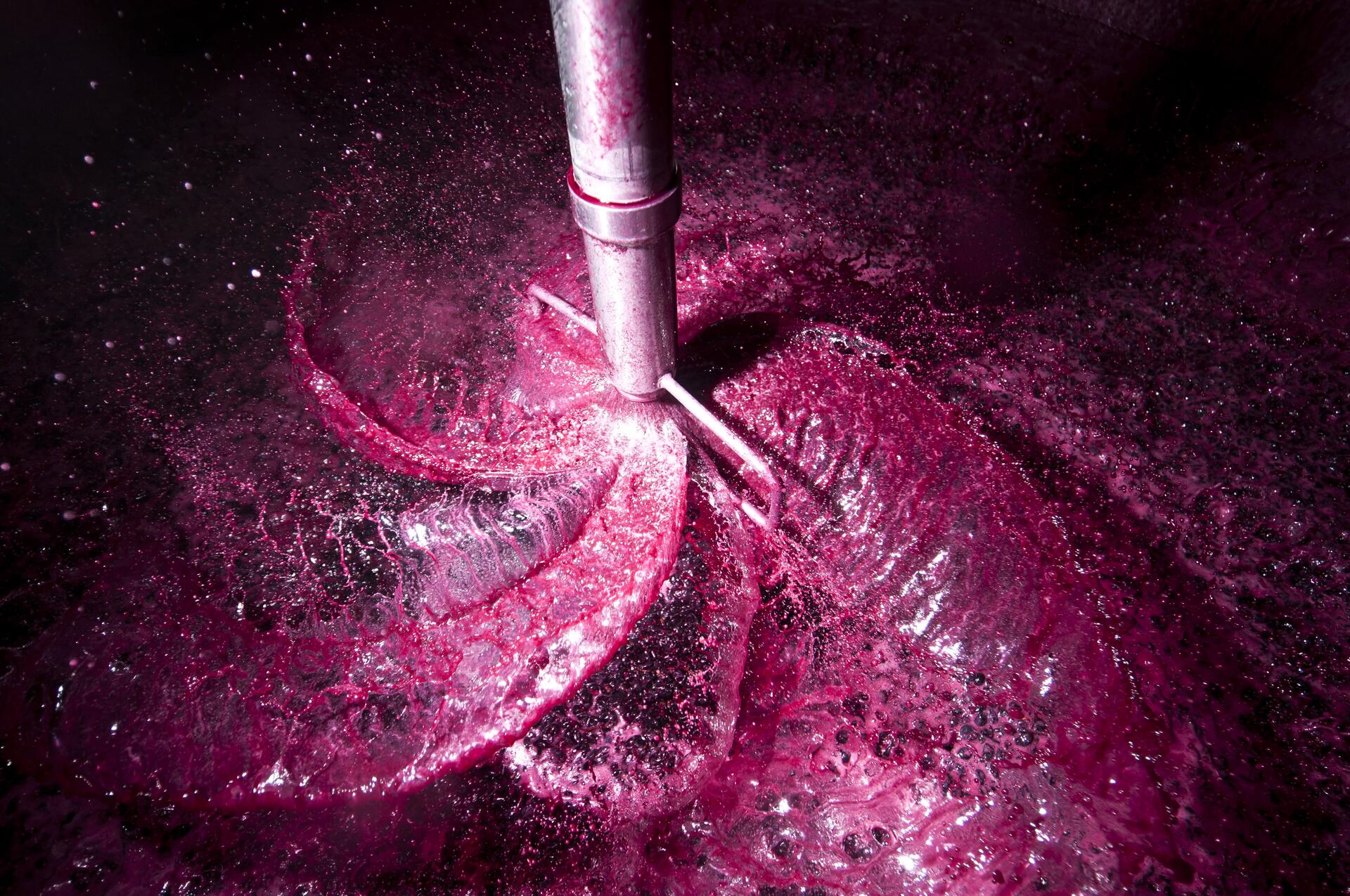 Lavradores de Feitoria – Visita & Prova Soberbo