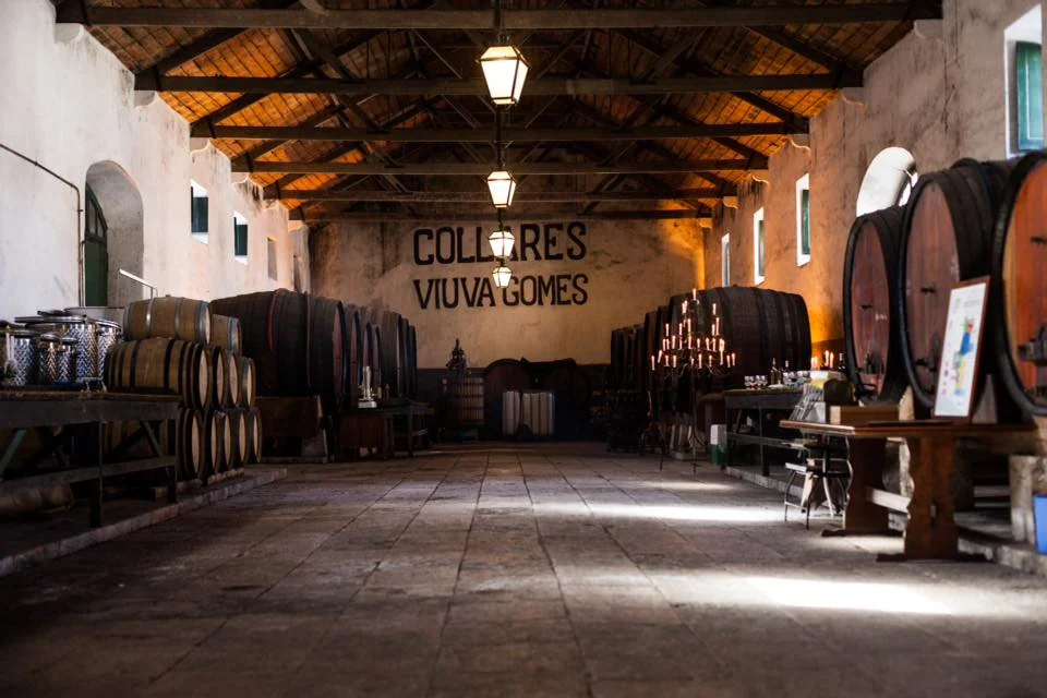 Adega Viúva Gomes – Prova Lisboa & Colares